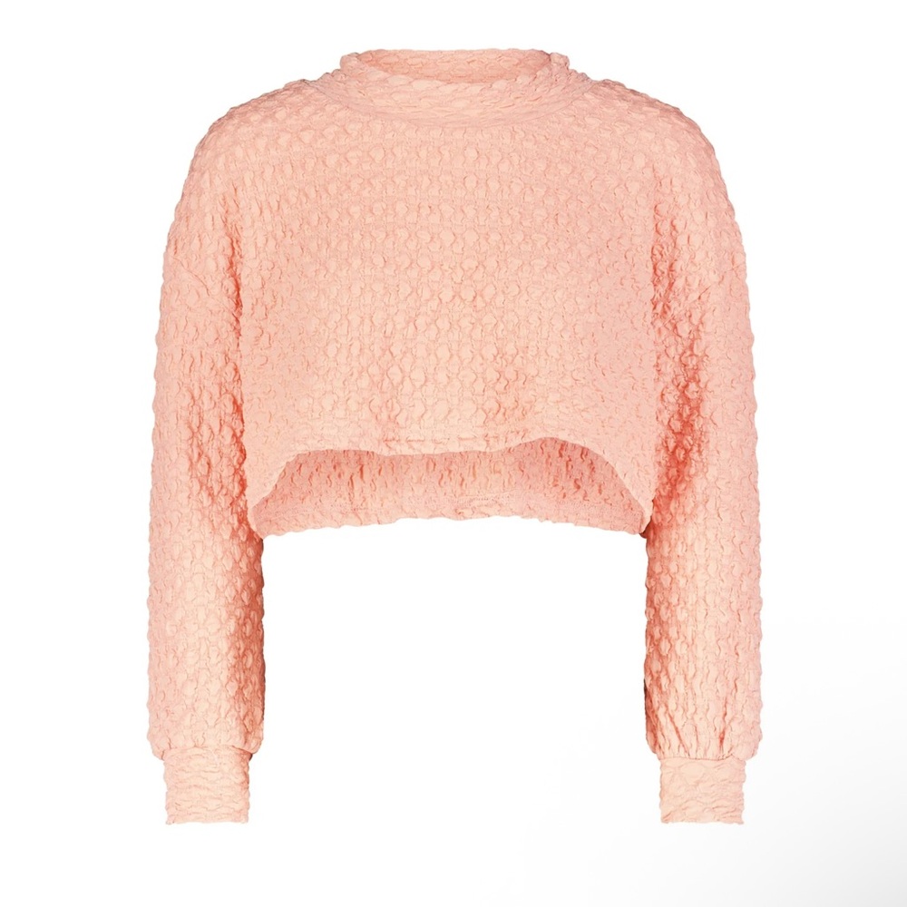 Aleeza Paris Textured Pink Crop Sweater
